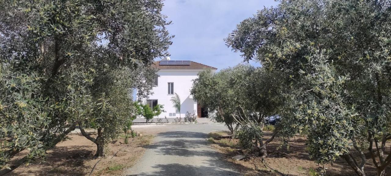Kiti Village Villa, Cyprus, Salt-Water Pool, 6 Bedrooms, Larnaca Exterior foto